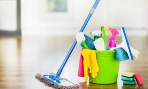Professional Cleaning Services For Elderly In Edmonton