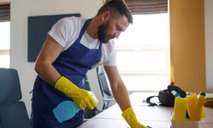 Weekly House Cleaning For Seniors Edmonton Weekly House Cleaning For Seniors Edmonton