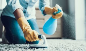 Customized Cleaning For Seniors Edmonton