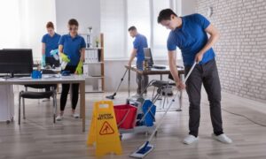 Customized Cleaning For Seniors Edmonton