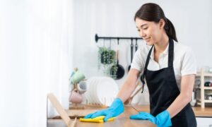 Gentle House Cleaning Services For Elderly Edmonton