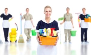Assisted Cleaning For Seniors Edmonton