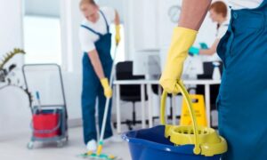 Cleaning Help For Elderly Edmonton