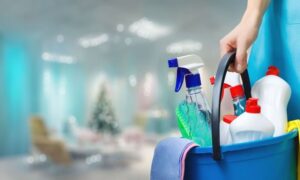 House Cleaning For Elderly Edmonton