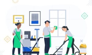 Local House Cleaners For Elderly Edmonton
