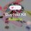 Buy Nail Kit Kelowna
