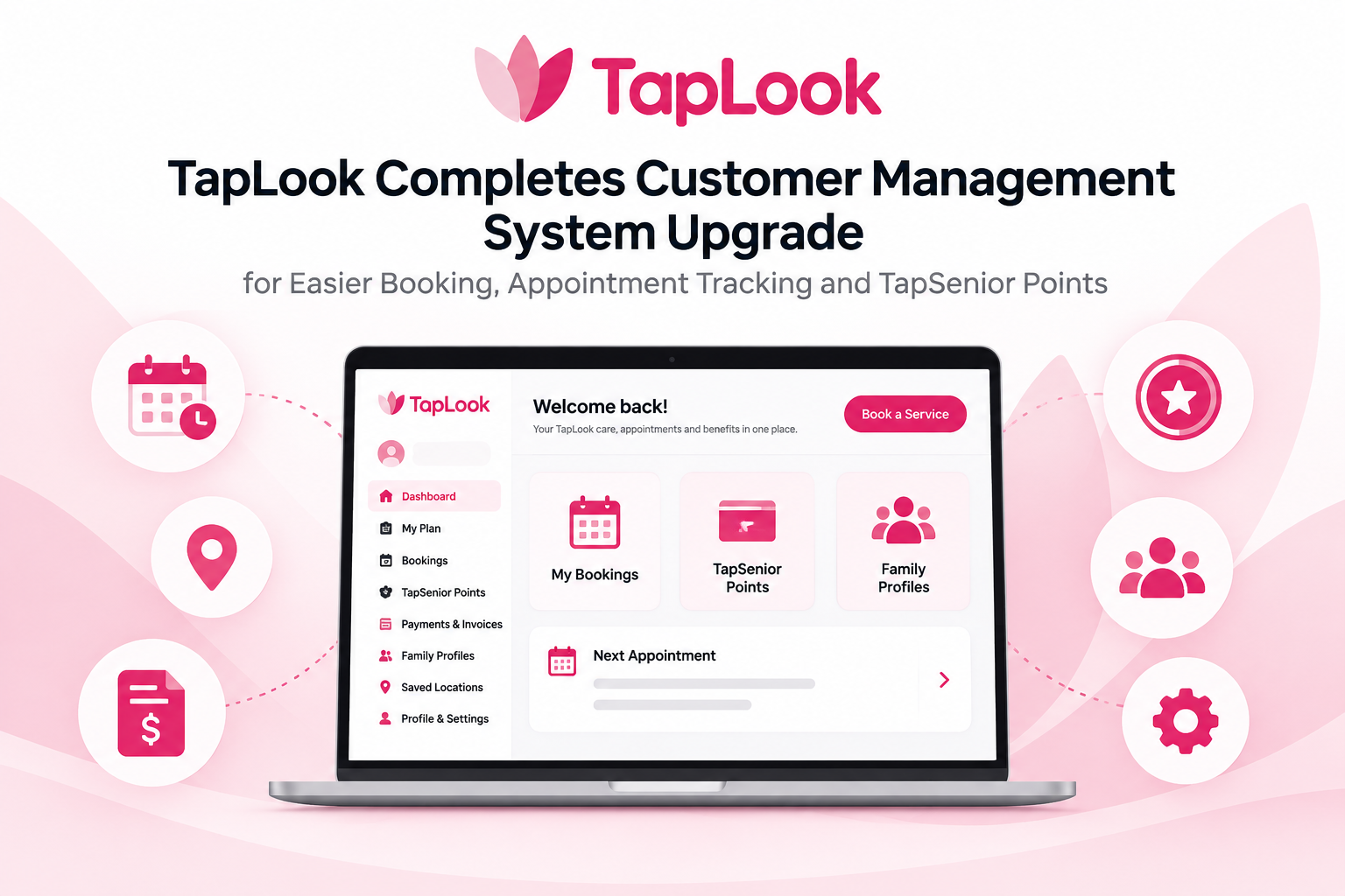 taplook upgrade customersystem